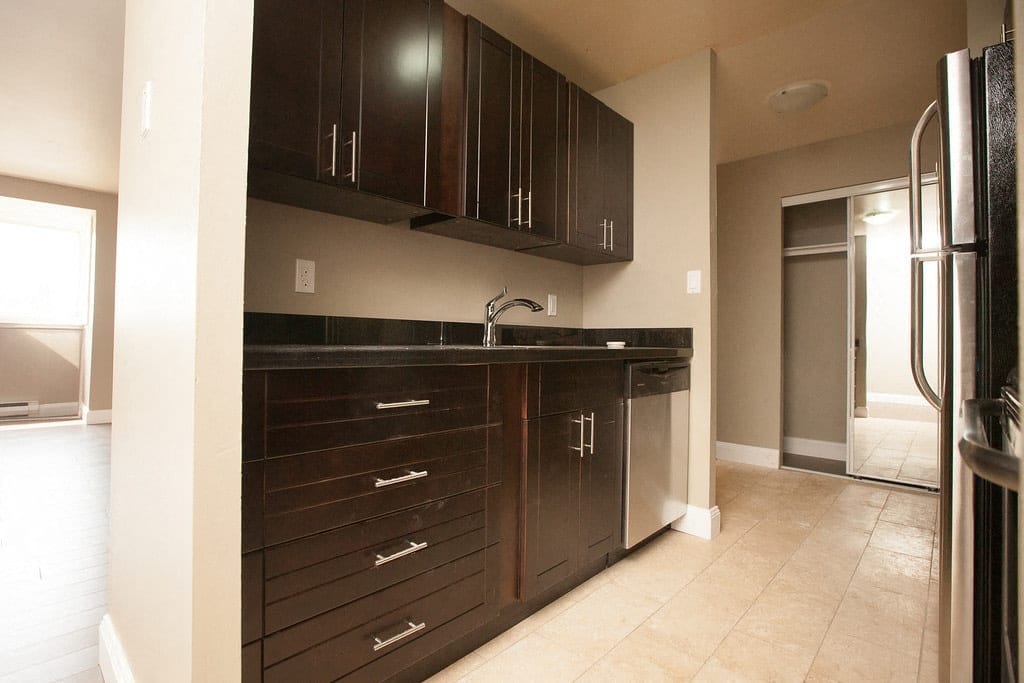 Kitchen cabinetry and counter, looking through to the living room and the hallway closet